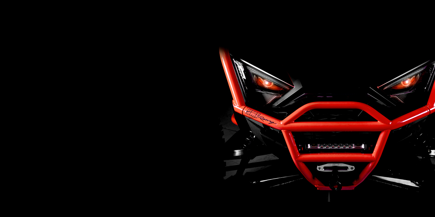 All New / RZR Pro R