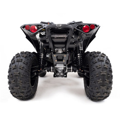 Renegade 650