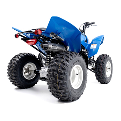TRX 250X