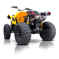 Renegade 800