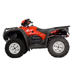 Foreman Rubicon