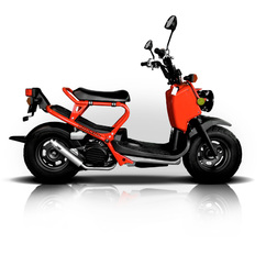 Ruckus