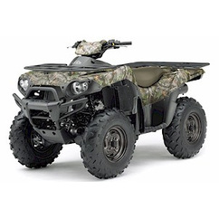 Brute Force 650i