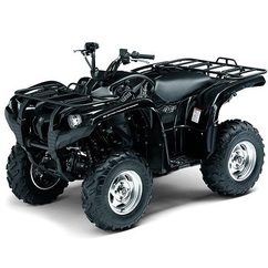 Grizzly 600
