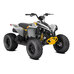 Can-Am Renegade 110