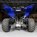 Grab Bar, Yamaha Raptor 700