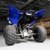 Grab Bar, Yamaha Raptor 700