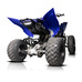 Grab Bar, Yamaha Raptor 700