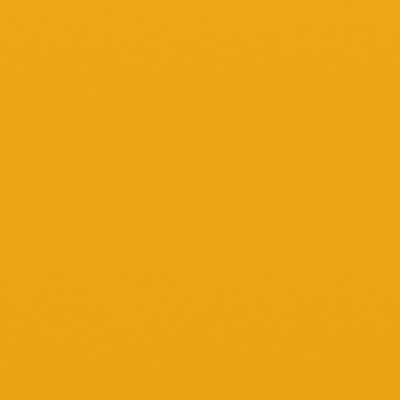 Yellow - Can-Am